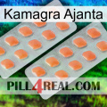 Kamagra Ajanta 27